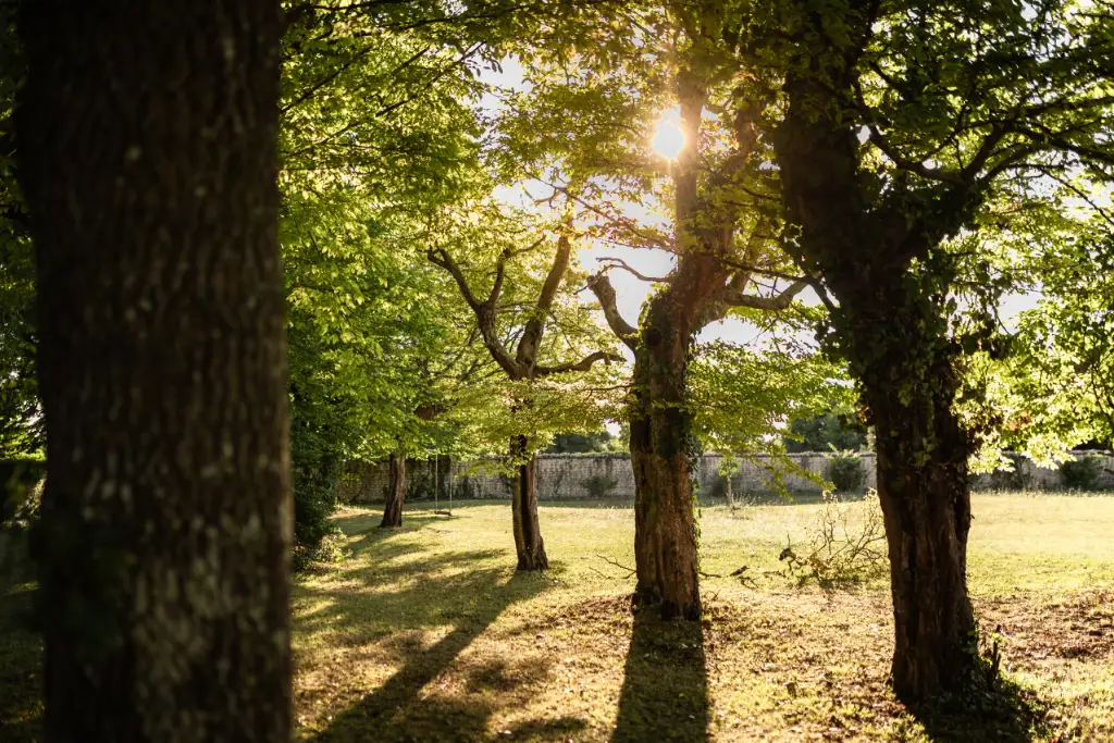 Hébergement pour séminaire en Charente.