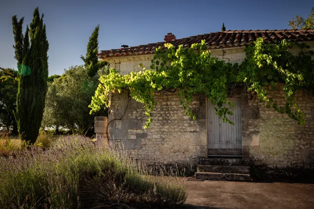 Hébergement pour séminaire en Charente.